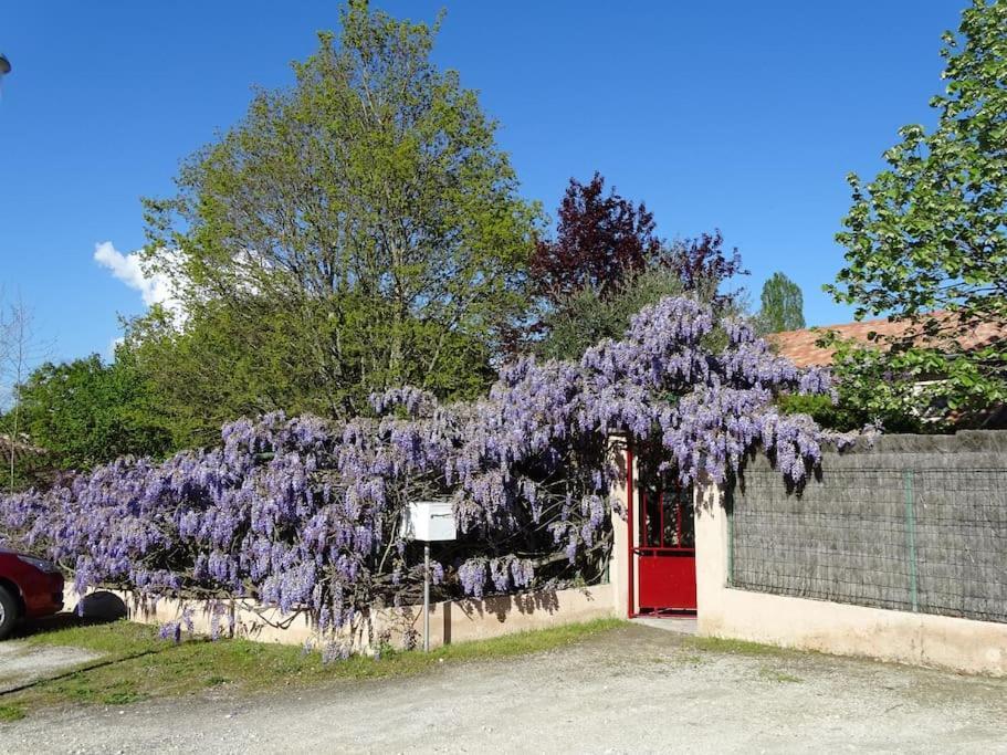 Tresses Logement Sympa Entree Independante Pres Bordeaux 10Kms מראה חיצוני תמונה